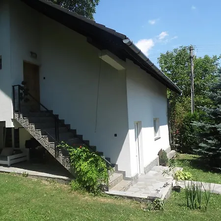 Studio Vanesa Braşov