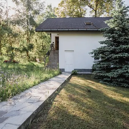 Studio Vanesa * Braşov