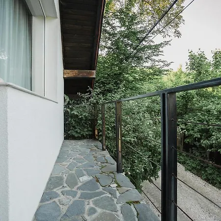 Studio Vanesa Braşov