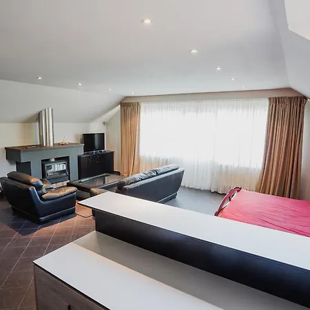 Appartement Studio Vanesa Braşov